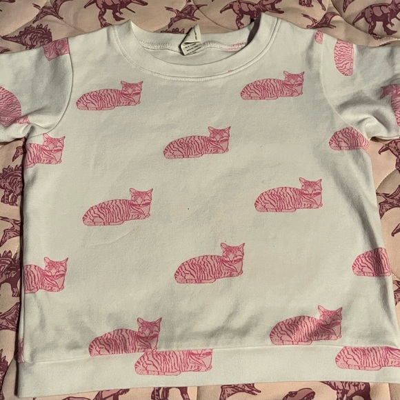 kate quinn Other - Kate Quinn Size 4t Pink Sleepy Cats Tee Shirt READ